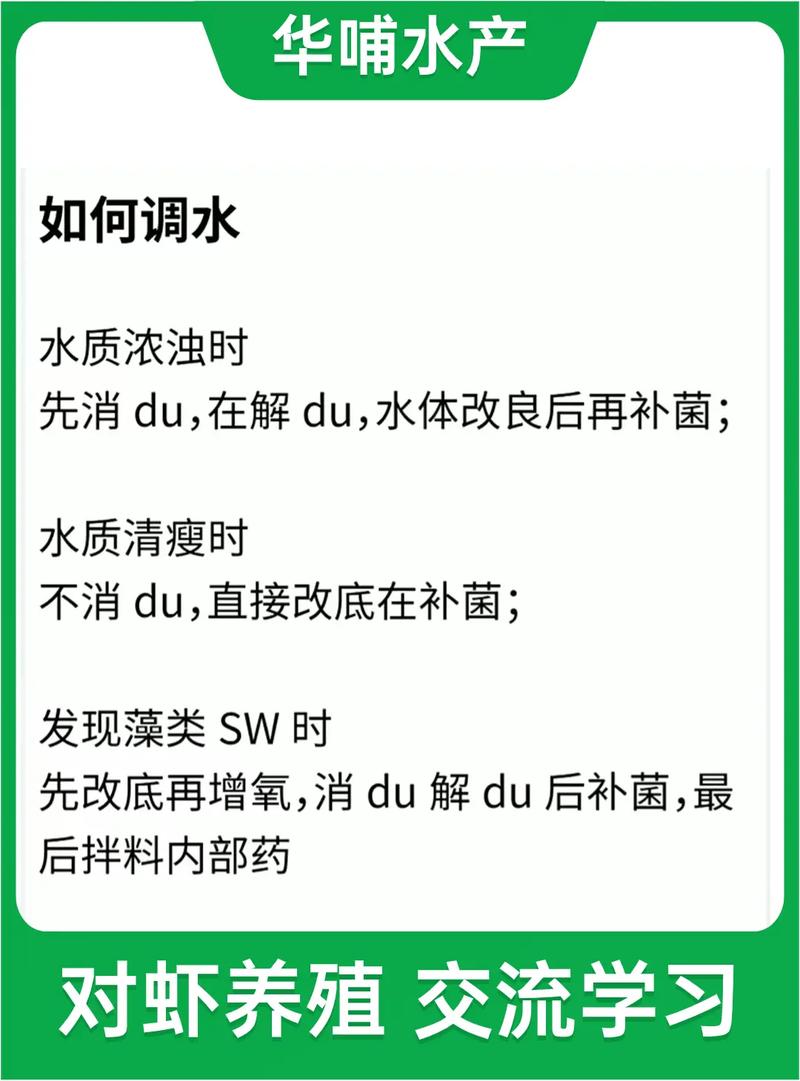 对虾养殖芽孢杆菌做完要做什么-第3张图片-宁夏农业信息网