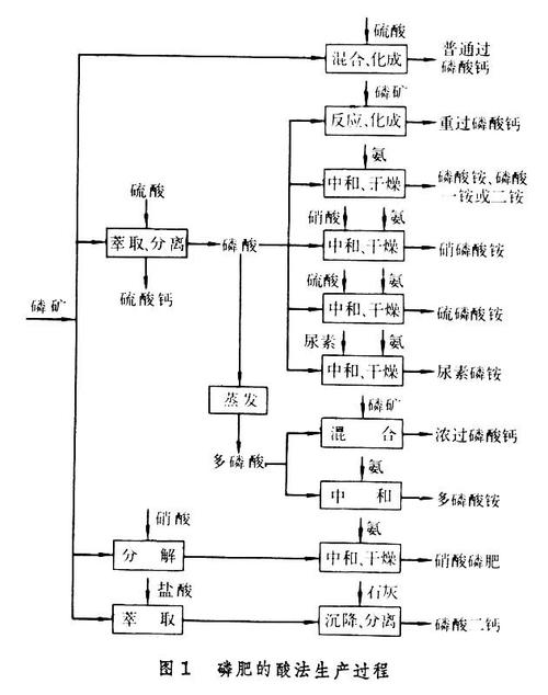 磷矿怎么提炼-第2张图片-宁夏农业信息网
