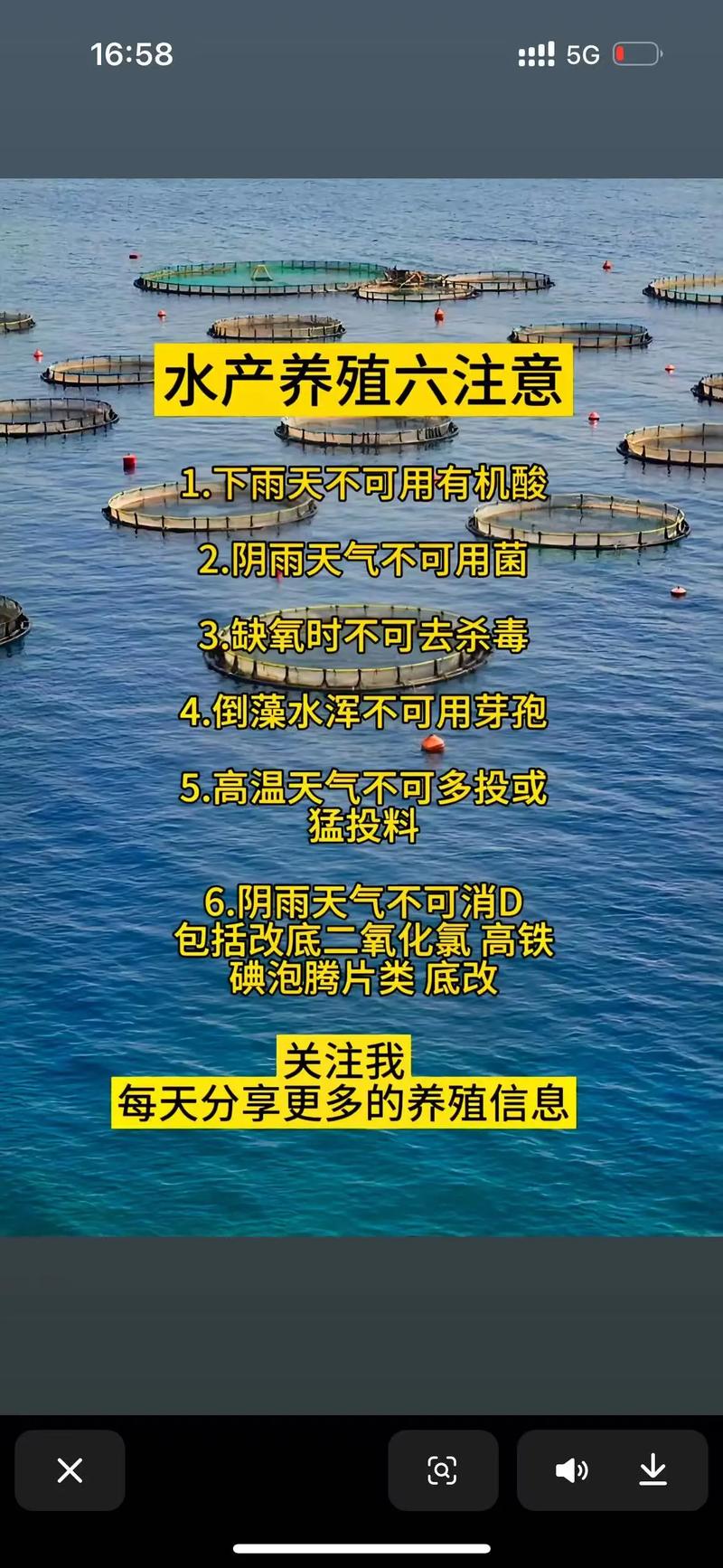 养殖海鲜为什么一段时间水浑浊-第3张图片-宁夏农业信息网