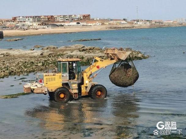 养殖海鲜为什么一段时间水浑浊-第2张图片-宁夏农业信息网