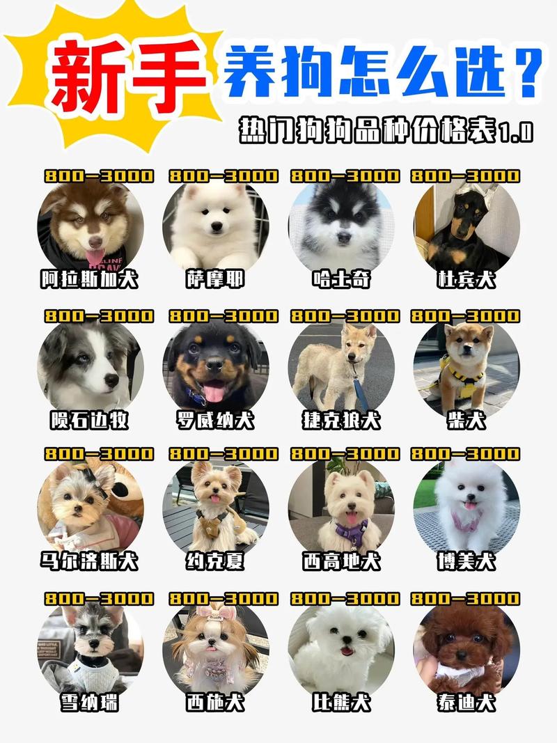 养种价格是多少-第3张图片-宁夏农业信息网 养种价格是多少-第3张图片-宁夏农业信息网