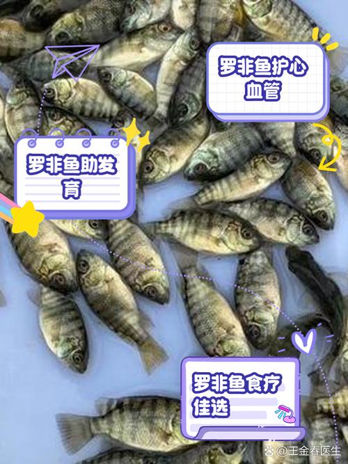 罗非鱼喂什么饲料-第2张图片-宁夏农业信息网