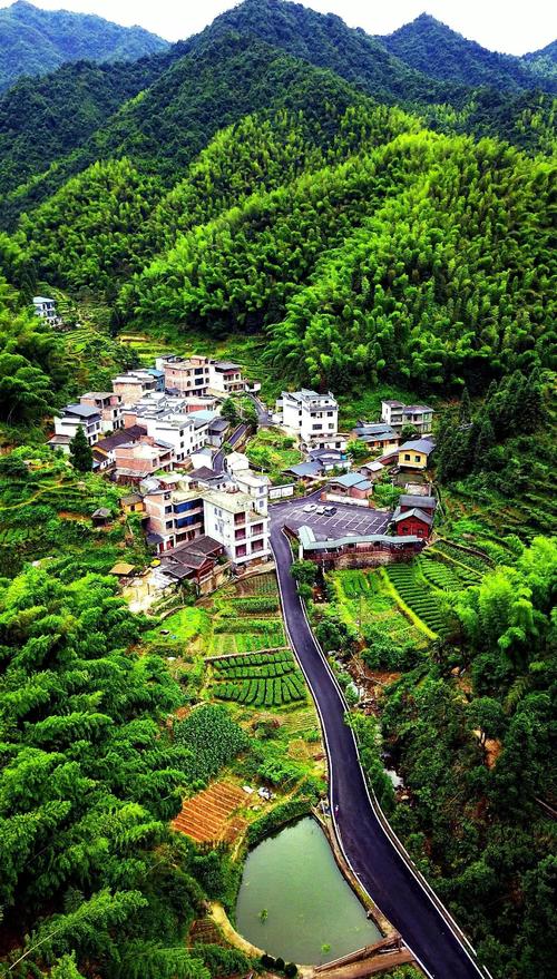 黑豚种苗价格多少-第3张图片-宁夏农业信息网