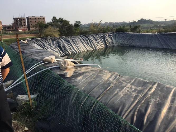 私人洗沙场怎么举报-第3张图片-宁夏农业信息网