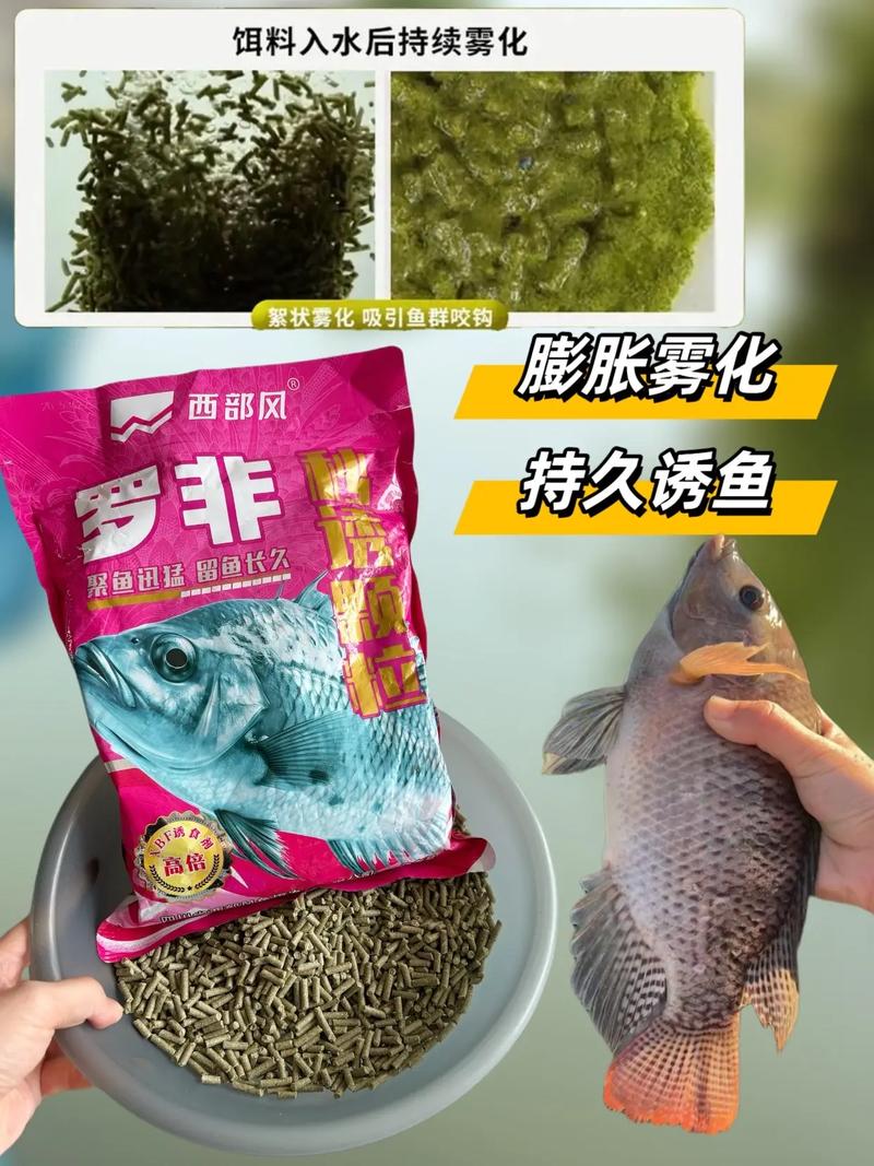 罗非鱼饲料什么片子好-第2张图片-宁夏农业信息网
