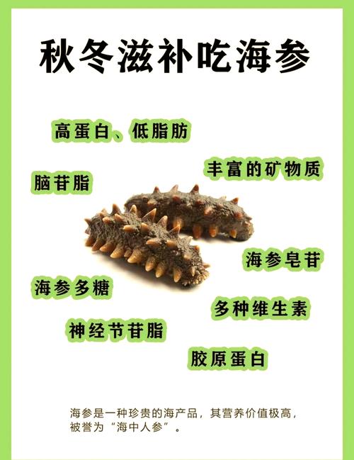 养殖海参用什么原料-第3张图片-宁夏农业信息网