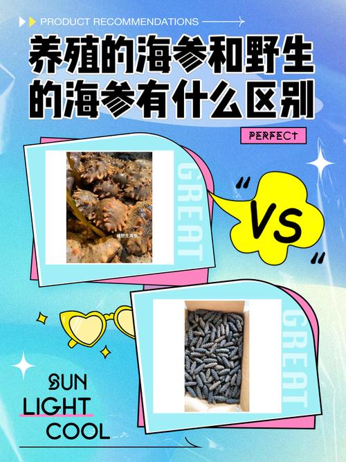 养殖海参用什么原料-第2张图片-宁夏农业信息网