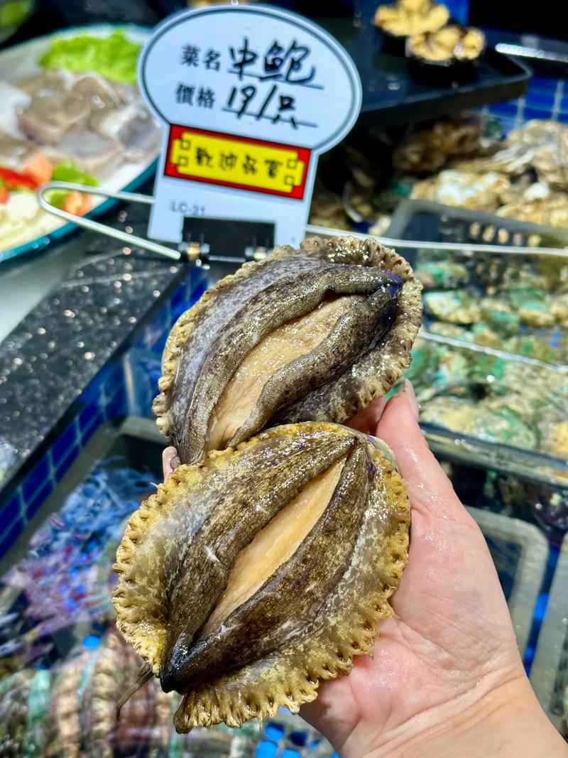 南宁鲍鱼价格是多少-第1张图片-宁夏农业信息网 南宁鲍鱼价格是多少-第1张图片-宁夏农业信息网