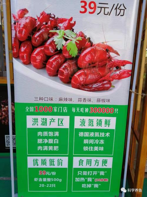 邯郸龙虾价格是多少-第3张图片-宁夏农业信息网 邯郸龙虾价格是多少-第3张图片-宁夏农业信息网