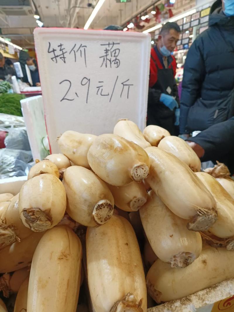 2016年莲藕多少价格-第2张图片-宁夏农业信息网 2016年莲藕多少价格-第2张图片-宁夏农业信息网