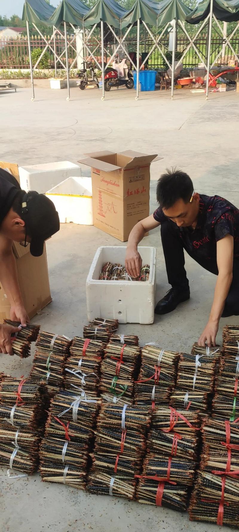 蜈蚣价格多少钱-第2张图片-宁夏农业信息网