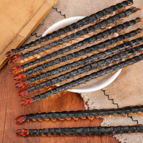 蜈蚣价格多少钱-第3张图片-宁夏农业信息网