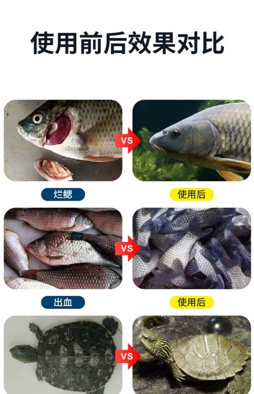 海水养殖用什么药消毒-第3张图片-宁夏农业信息网 海水养殖用什么药消毒-第3张图片-宁夏农业信息网