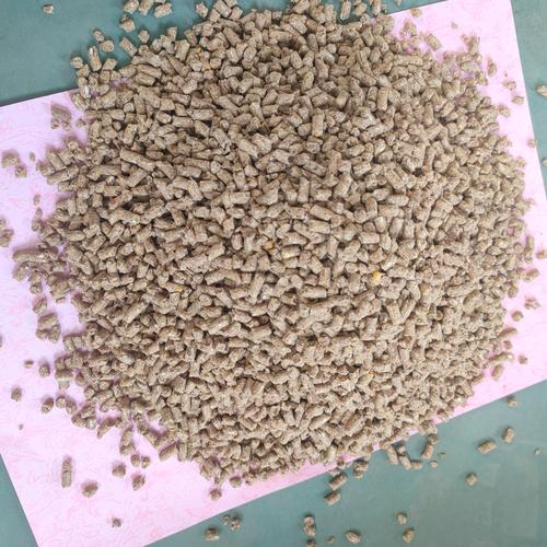 母猪吃什么饲料-第2张图片-宁夏农业信息网