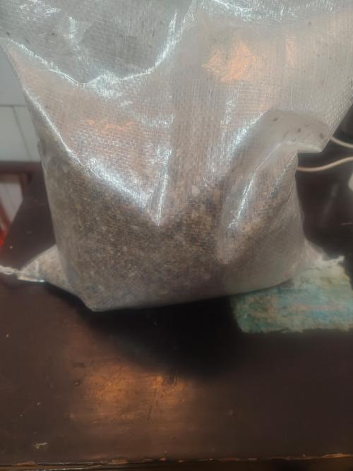 斑鸠吃什么饲料-第2张图片-宁夏农业信息网 斑鸠吃什么饲料-第2张图片-宁夏农业信息网