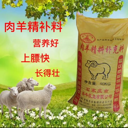 养羊的饲料羊吃什么-第1张图片-宁夏农业信息网 养羊的饲料羊吃什么-第1张图片-宁夏农业信息网