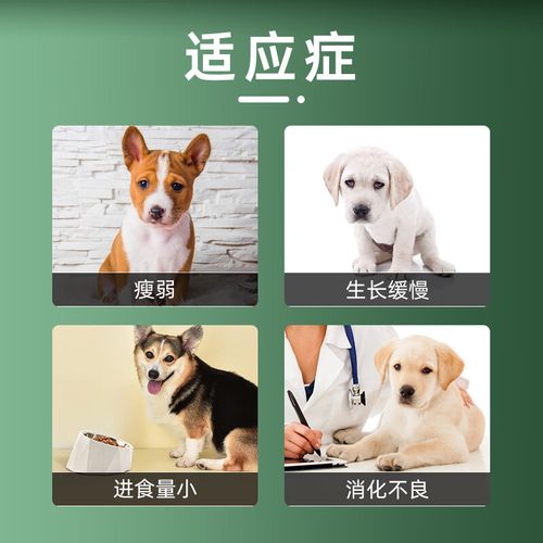 肉食狗喂什么饲料好-第3张图片-宁夏农业信息网 肉食狗喂什么饲料好-第3张图片-宁夏农业信息网