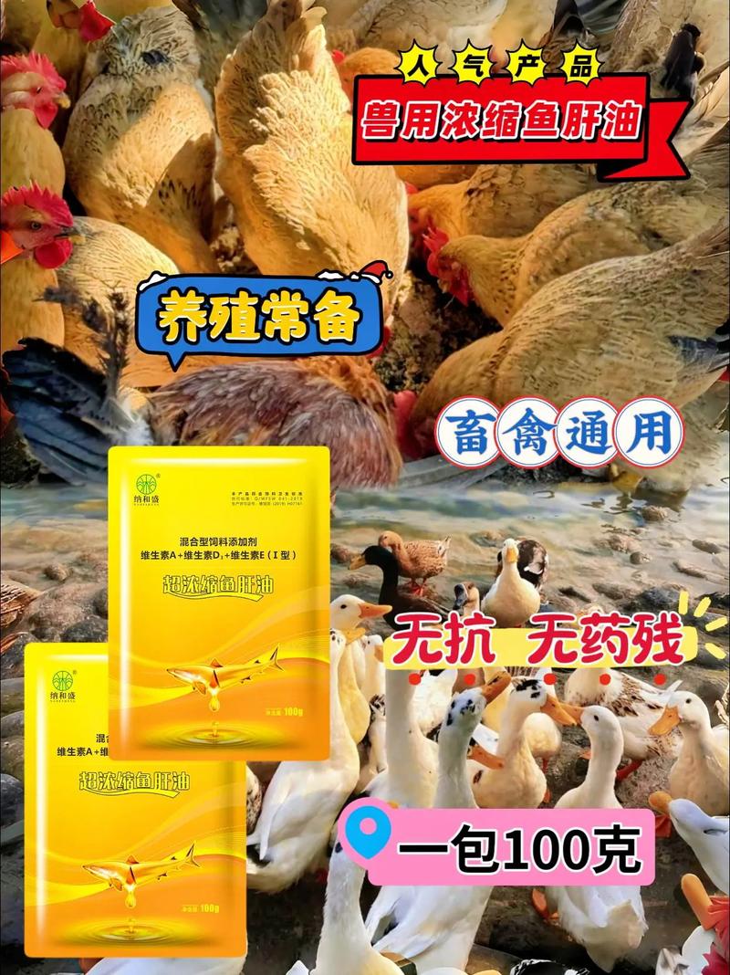 小鸡喂什么饲料长得快-第3张图片-宁夏农业信息网