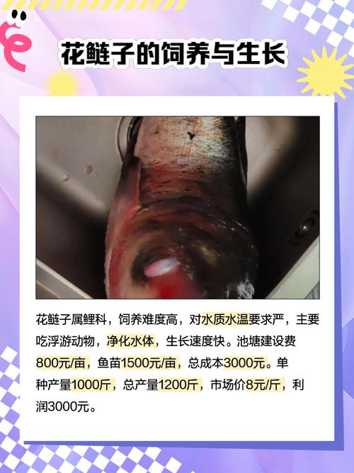 花莲鱼主要吃什么饲料-第3张图片-宁夏农业信息网