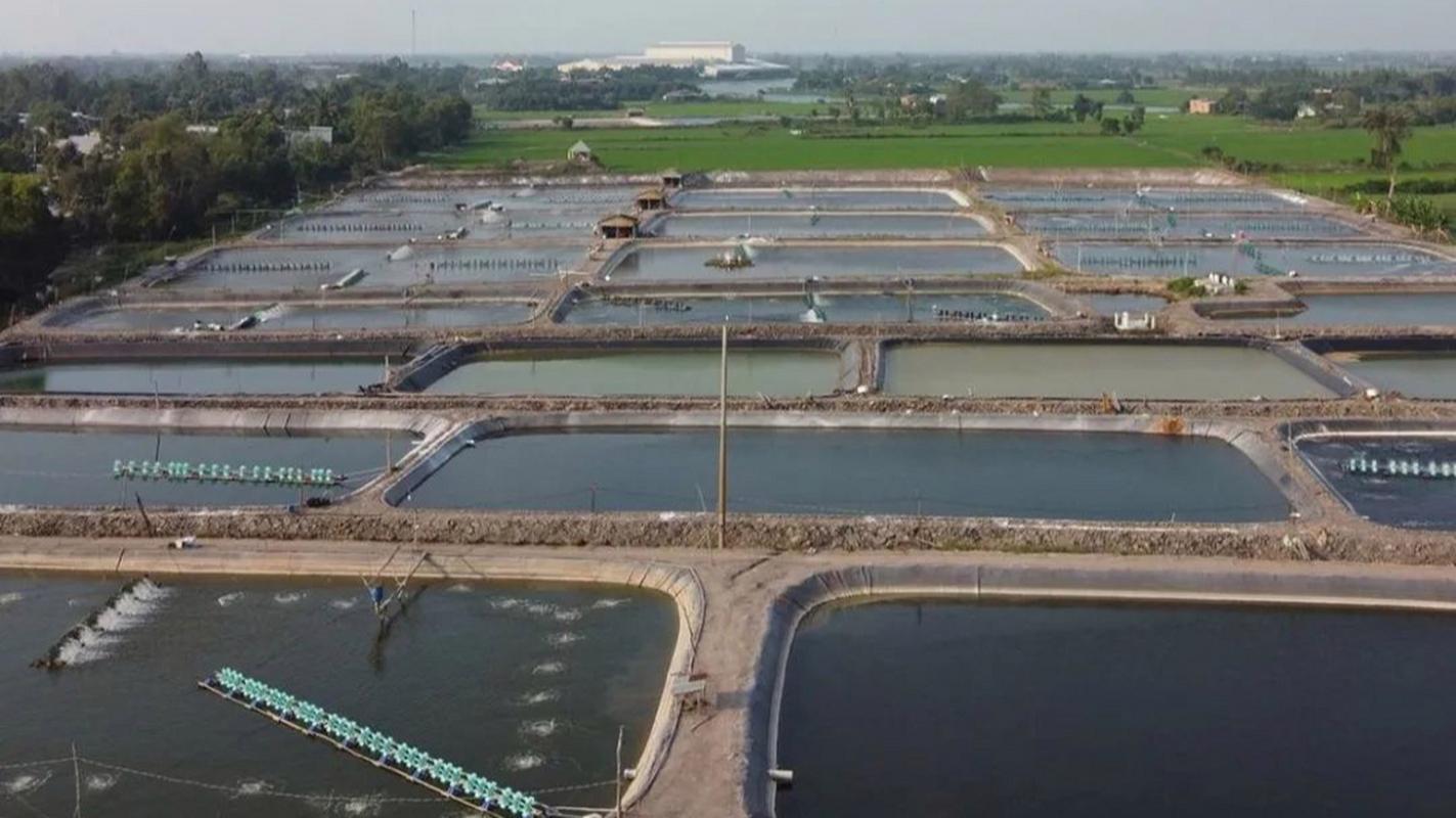 水产养殖业是什么-第1张图片-宁夏农业信息网