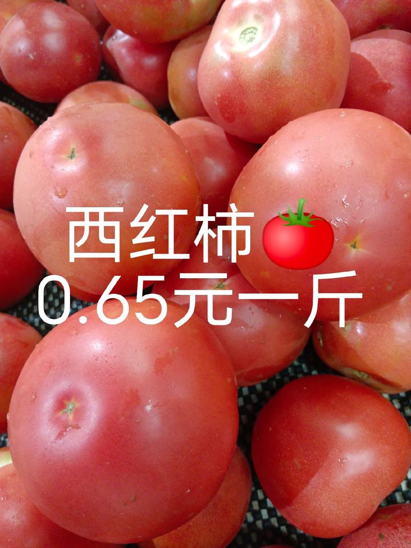 今年洋葱的价格多少-第1张图片-宁夏农业信息网