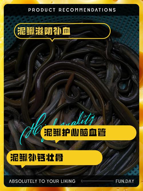 人工养泥鳅吃什么饲料-第3张图片-宁夏农业信息网