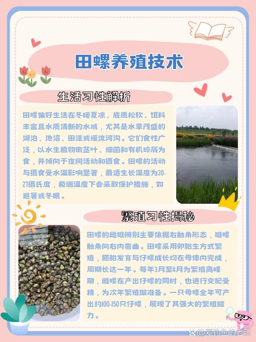 养田螺什么饲料-第2张图片-宁夏农业信息网 养田螺什么饲料-第2张图片-宁夏农业信息网