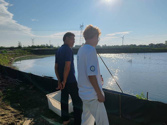 螃蟹适合什么地方养殖-第3张图片-宁夏农业信息网