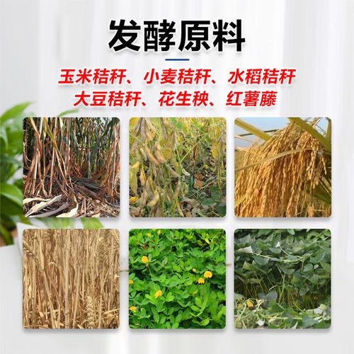 制作青储饲料用什么发酵粉好-第1张图片-宁夏农业信息网 制作青储饲料用什么发酵粉好-第1张图片-宁夏农业信息网