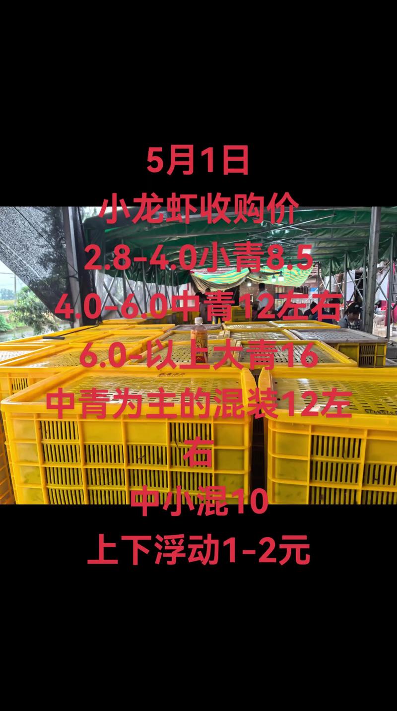 龙虾苗价格是多少-第2张图片-宁夏农业信息网