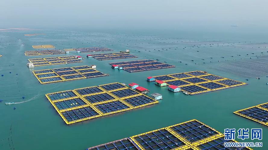 海上网箱养殖什么最好-第3张图片-宁夏农业信息网 海上网箱养殖什么最好-第3张图片-宁夏农业信息网