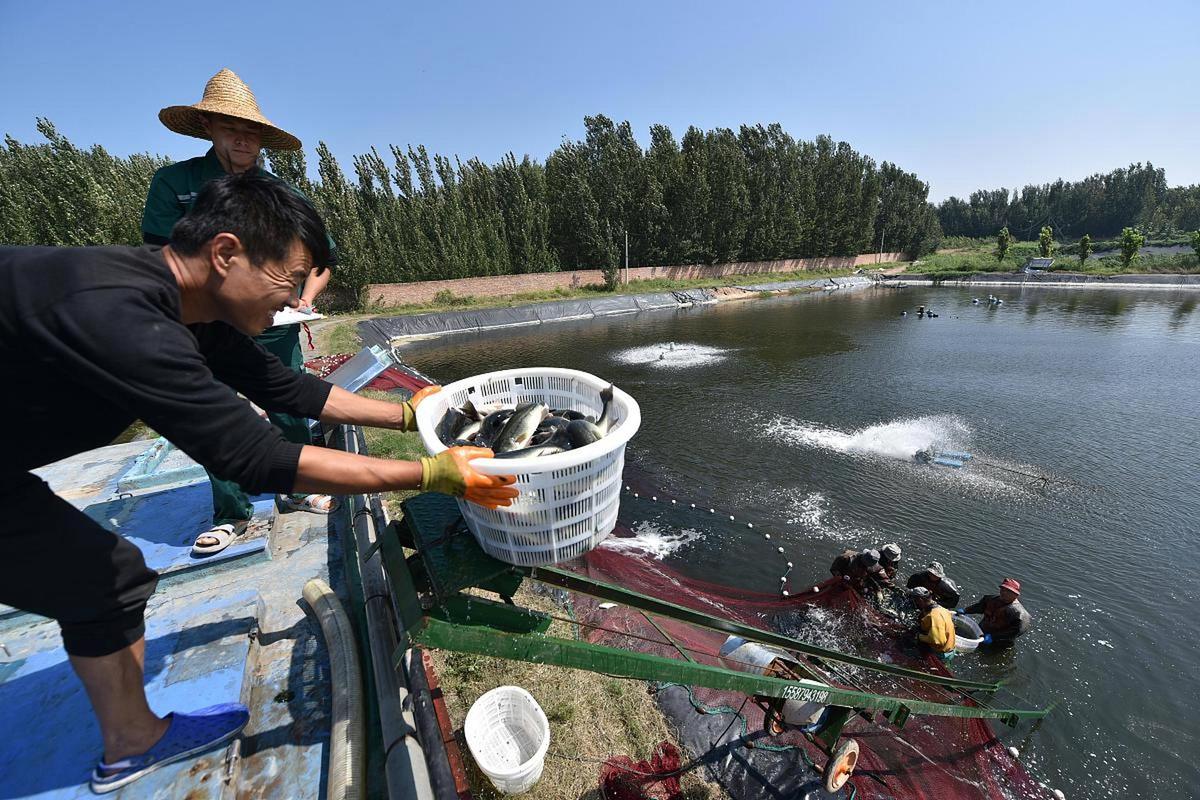 搞水产养殖的叫什么-第2张图片-宁夏农业信息网
