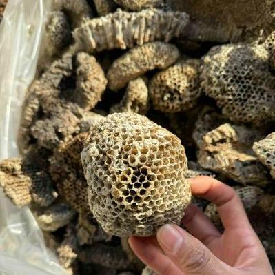 怎么买到蜂巢价格多少-第2张图片-宁夏农业信息网