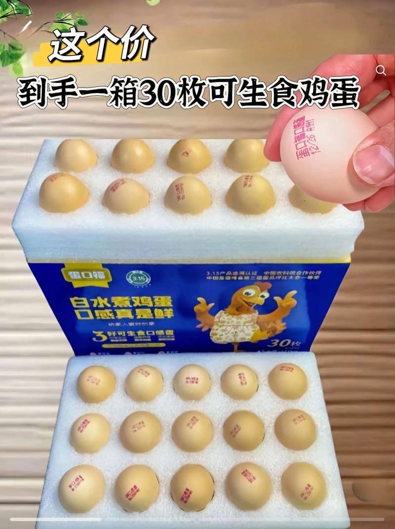 做什么饲料用鸡蛋-第2张图片-宁夏农业信息网 做什么饲料用鸡蛋-第2张图片-宁夏农业信息网