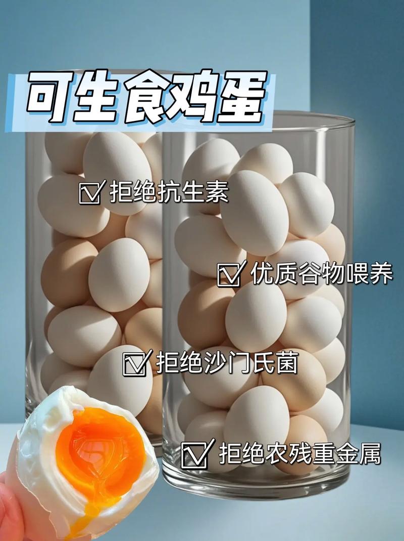 做什么饲料用鸡蛋-第3张图片-宁夏农业信息网 做什么饲料用鸡蛋-第3张图片-宁夏农业信息网