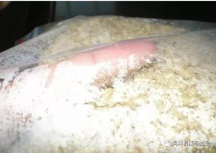 饲料发霉什么原因-第3张图片-宁夏农业信息网