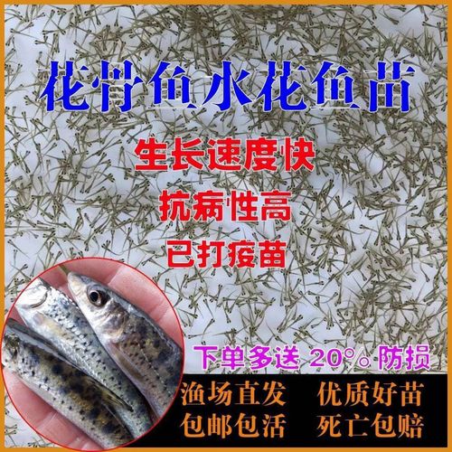 花骨鱼养殖喂什么饲料-第1张图片-宁夏农业信息网