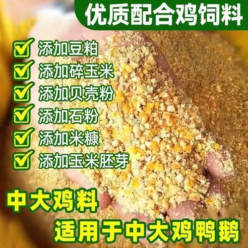 鹅不产蛋喂什么饲料-第1张图片-宁夏农业信息网 鹅不产蛋喂什么饲料-第1张图片-宁夏农业信息网