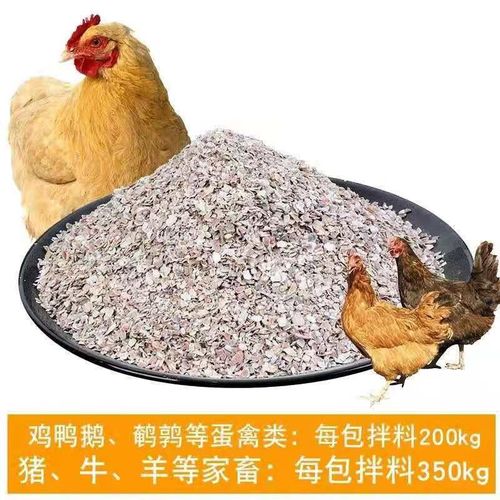 下蛋母鸡应该喂什么饲料-第2张图片-宁夏农业信息网 下蛋母鸡应该喂什么饲料-第2张图片-宁夏农业信息网