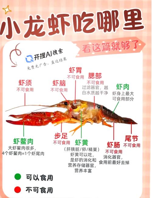 什么品种的虾不能养殖-第2张图片-宁夏农业信息网