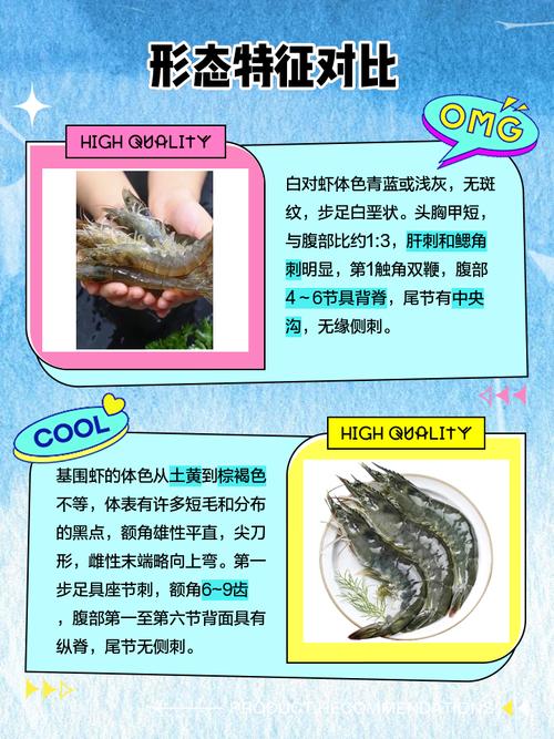 养殖的白虾喂什么好处-第2张图片-宁夏农业信息网 养殖的白虾喂什么好处-第2张图片-宁夏农业信息网