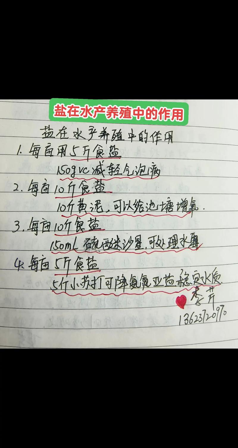 养殖的白虾喂什么好处-第3张图片-宁夏农业信息网 养殖的白虾喂什么好处-第3张图片-宁夏农业信息网