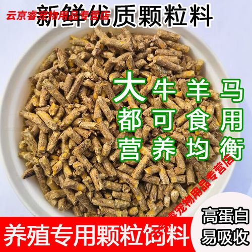 喂羊喂什么饲料-第2张图片-宁夏农业信息网
