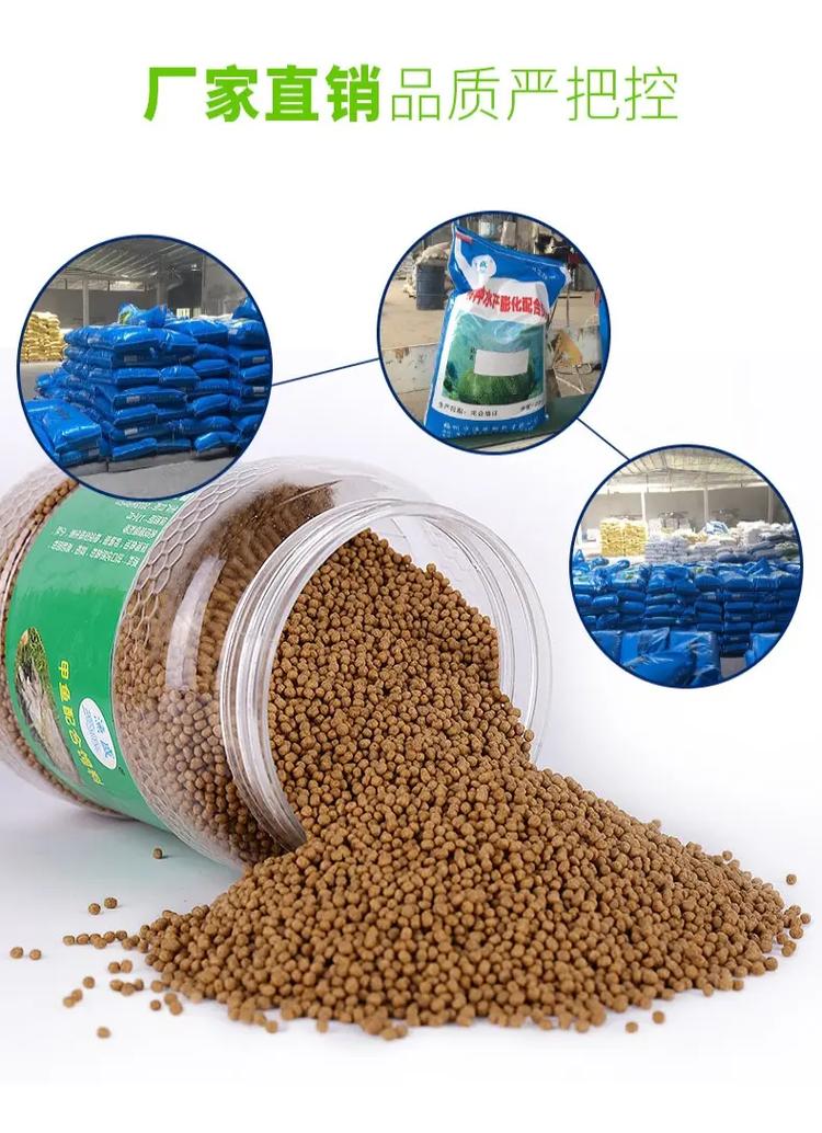 甲鱼除了吃饲料还吃什么-第1张图片-宁夏农业信息网