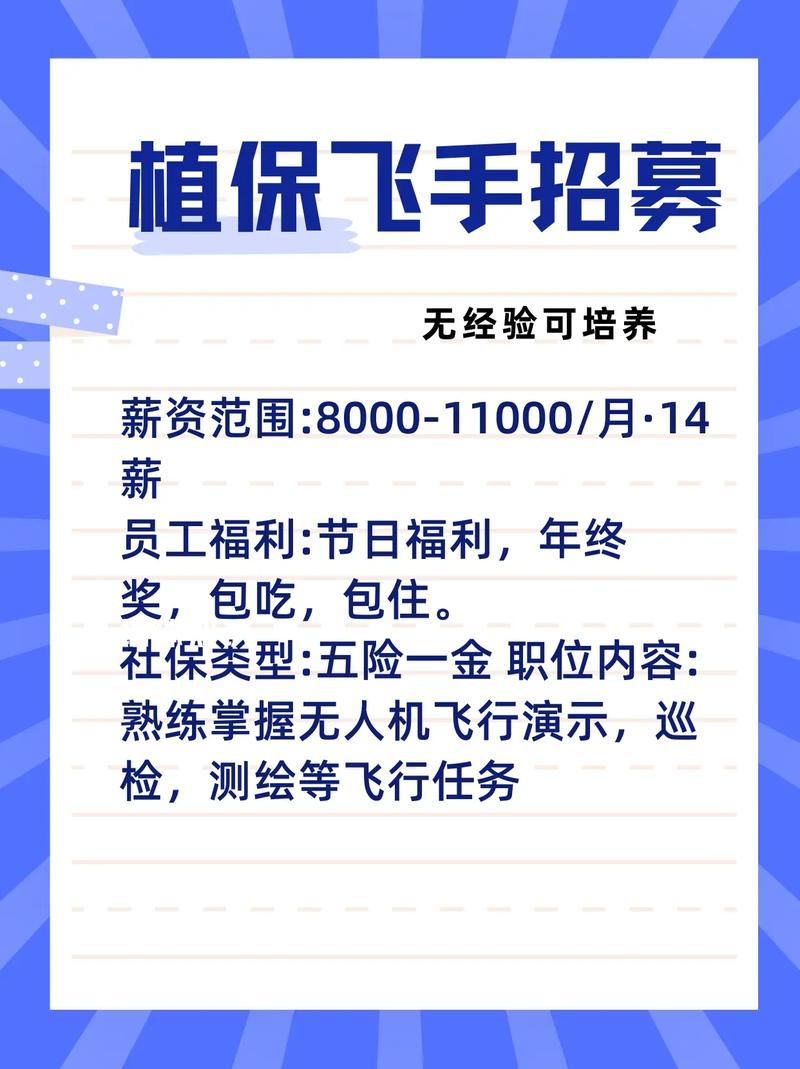 植保飞手简历怎么写-第1张图片-宁夏农业信息网