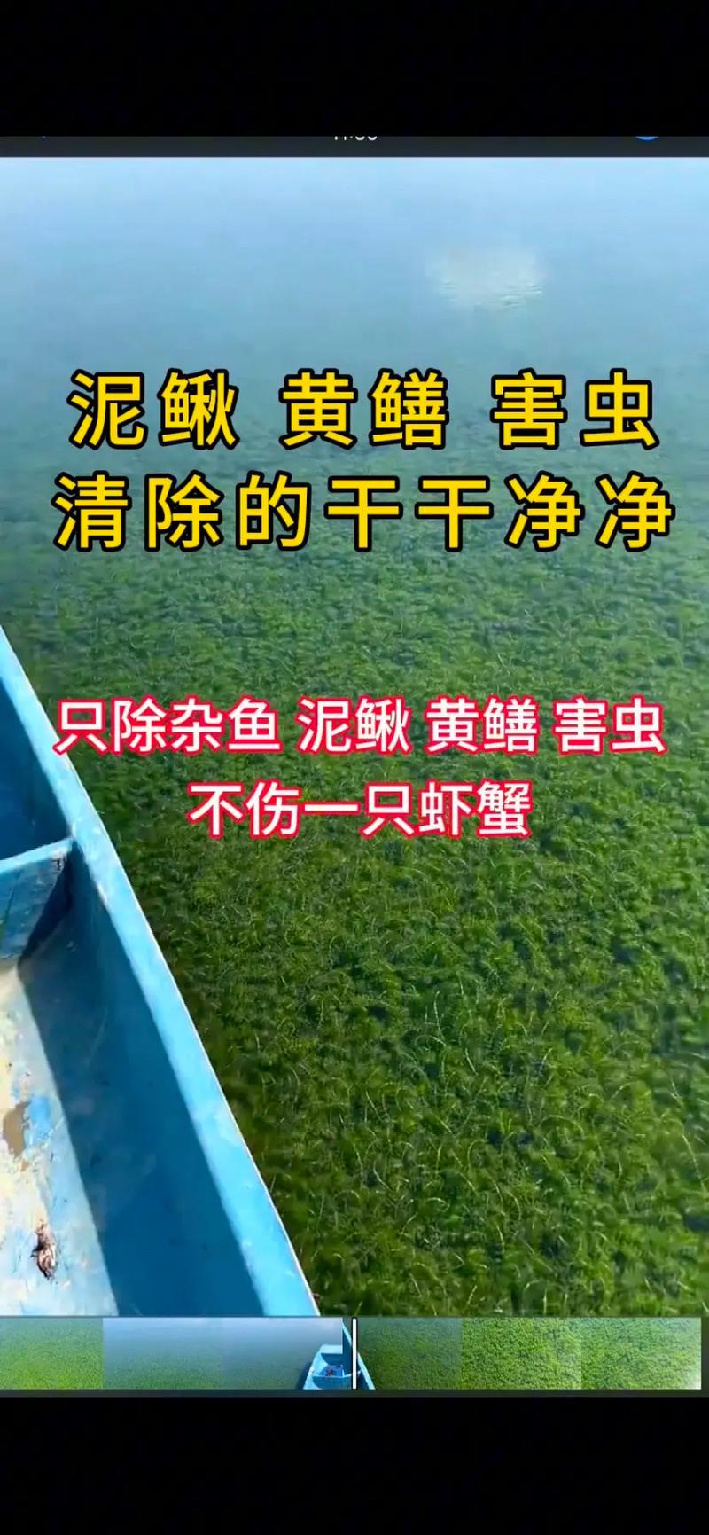 养殖小龙虾什么用药-第3张图片-宁夏农业信息网