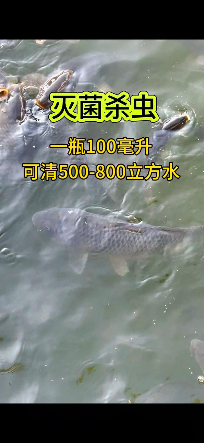 养殖小龙虾什么用药-第2张图片-宁夏农业信息网