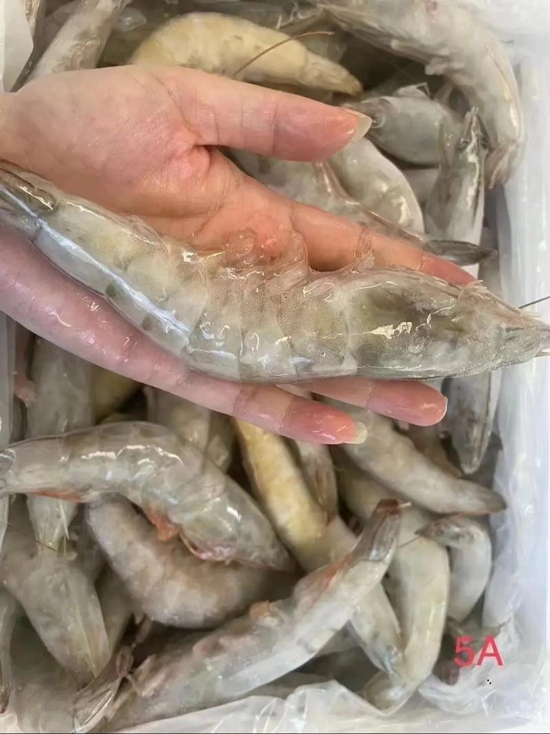 养殖青虾什么时候出货-第1张图片-宁夏农业信息网