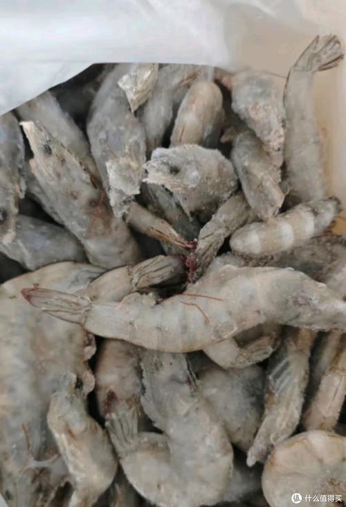 养殖青虾什么时候出货-第2张图片-宁夏农业信息网