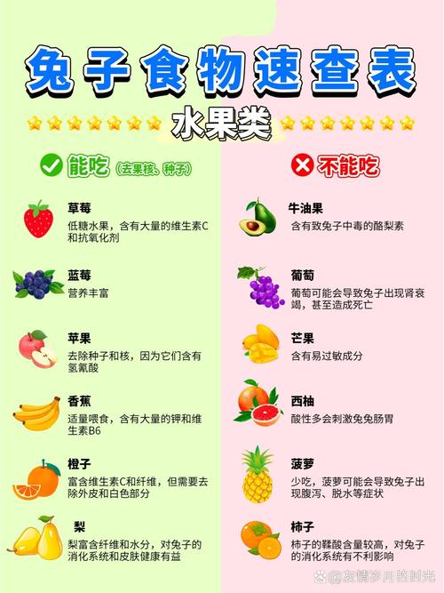 兔子为什么不能吃鸭饲料-第2张图片-宁夏农业信息网